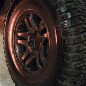 Wheels painted to match the fresh rubber... Treadwright.com Guard Dog MT, s