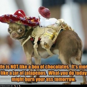 jalapenos