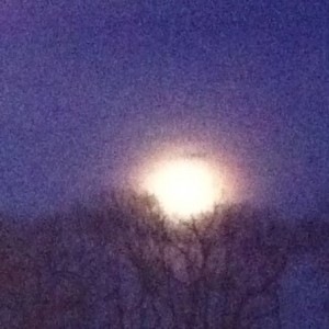 Bad quality pic of the moon tonight
