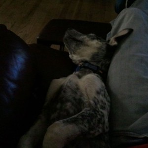 Fell asleep upside down last night