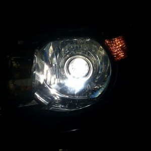 liveg06pWb