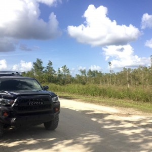 Big Cypress National Preserve