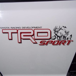 Buckfever1  2005 Sport