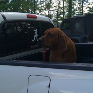 MY_DOG