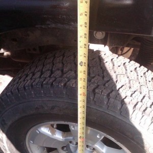 IMG00979-20120311-1609