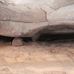 P3111521