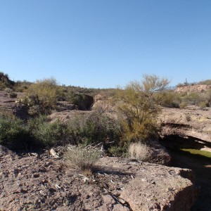 P3111511