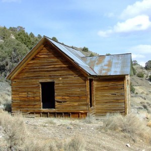 Pine Grove