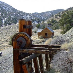 Pine Grove