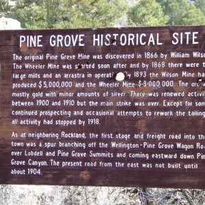 Pine Grove