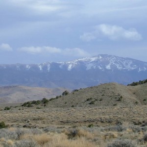 Pine Grove