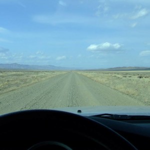 Pine Grove
