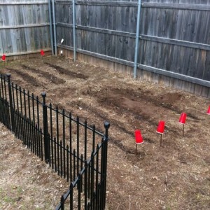 2012 garden.