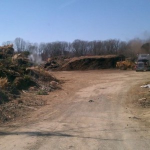 Local yard waste disposal facility. they grind it up and turn it into mulch