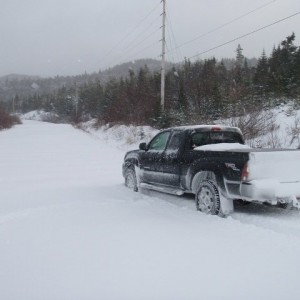 Winter