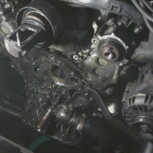 mms_picture-35