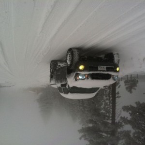 Playing in the snow