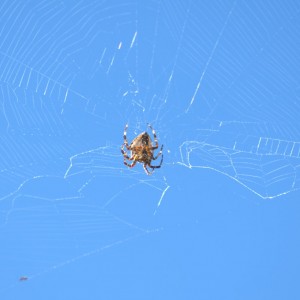 DSC_3464_v1-1280x849