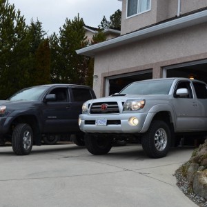 Two Lifted Tacomas