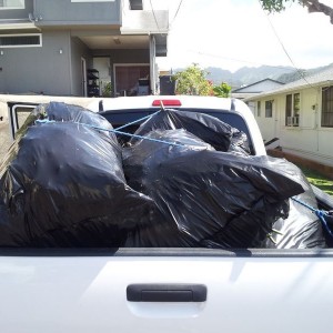 going to the landfill all green waste