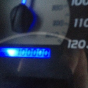 Finally broke her in
