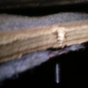 Photo03191640_2