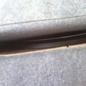 Photo03191722_1