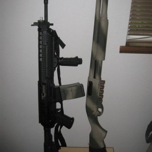 sig 556 and remington 870 with  rustolem paint