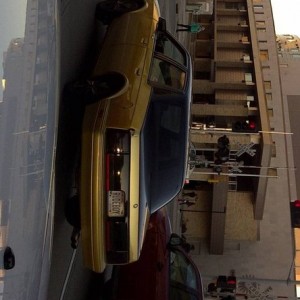 IMG-20120309-01004