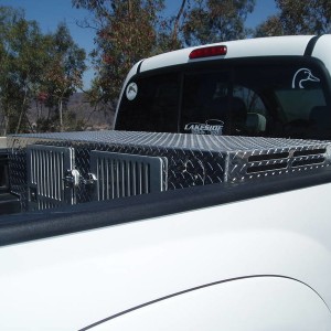 Kennel