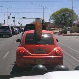 shock top vw