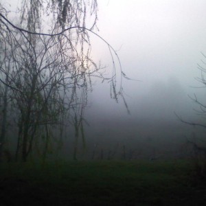 Got fog?