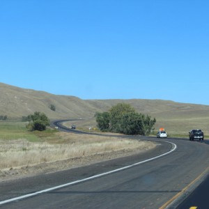 sandHills traffic with weeds...