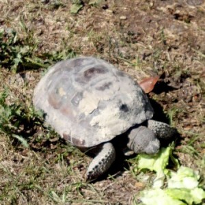 Guess i should feed him :cool: