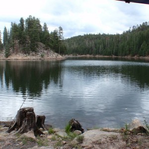 P8020939