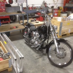 Co-workers 2001 Harley.