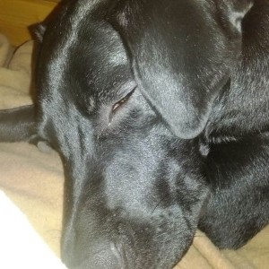 Passed out...I think??