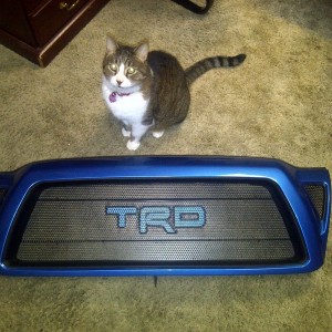 SWB TRD... Modeled by Ponce the cat. :cool: