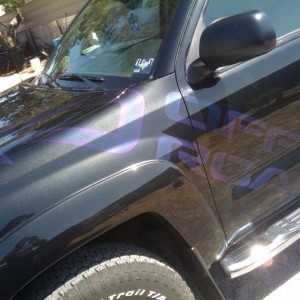 side view of the chameleon paint