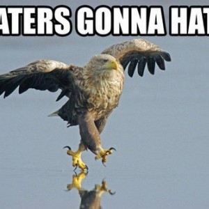hatereagle
