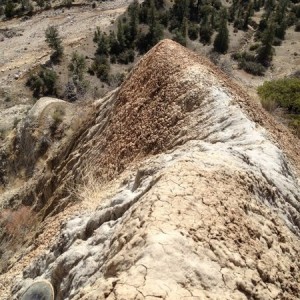 From yesterday. Decided to save time and cut across a ridge. It was steep t