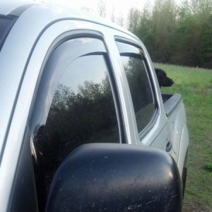Double Cab WeatherTechs