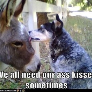 kissed