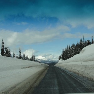 Alaska Trip