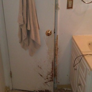 My dog got himself trapped in the bathroom while i was at work... Then went