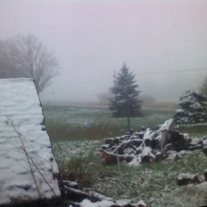 Winter is back?