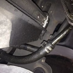 Uh does this look normal?
