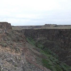 Summer 2010