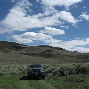 Summer 2010