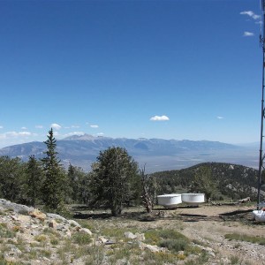 Summer 2010